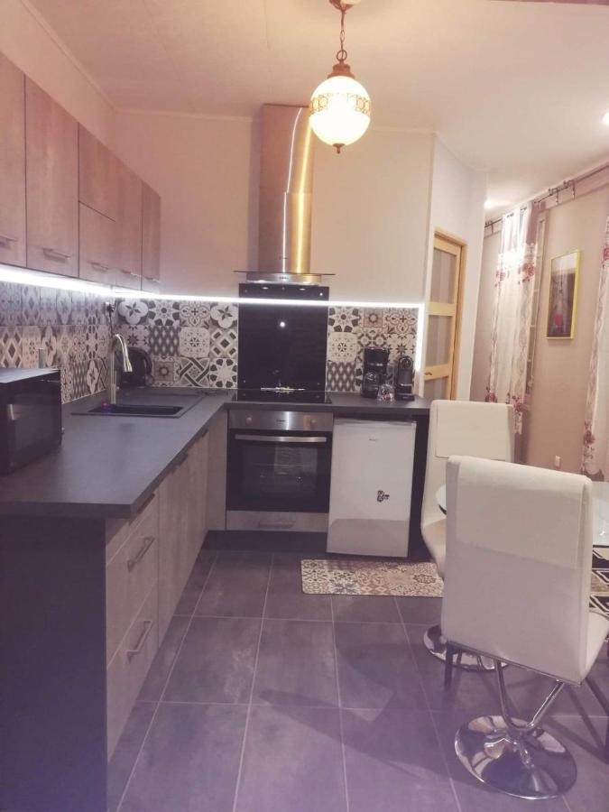 Rose Dor Apartment Plombieres-les-Dijon Luaran gambar